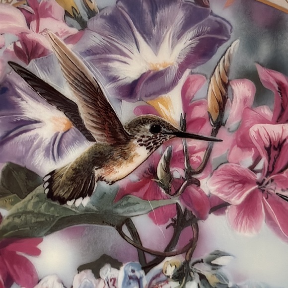 Hummingbird and Morning Glory Decorative Plate First Whispering Wings - Picture 2 of 5
